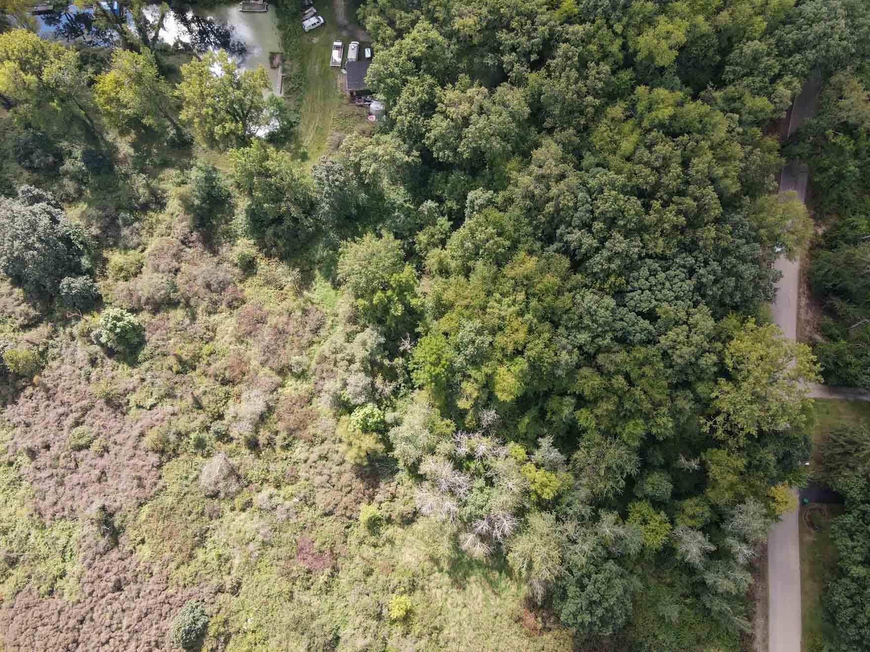 Image 1: Land