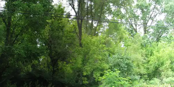 000 Hewitt Road