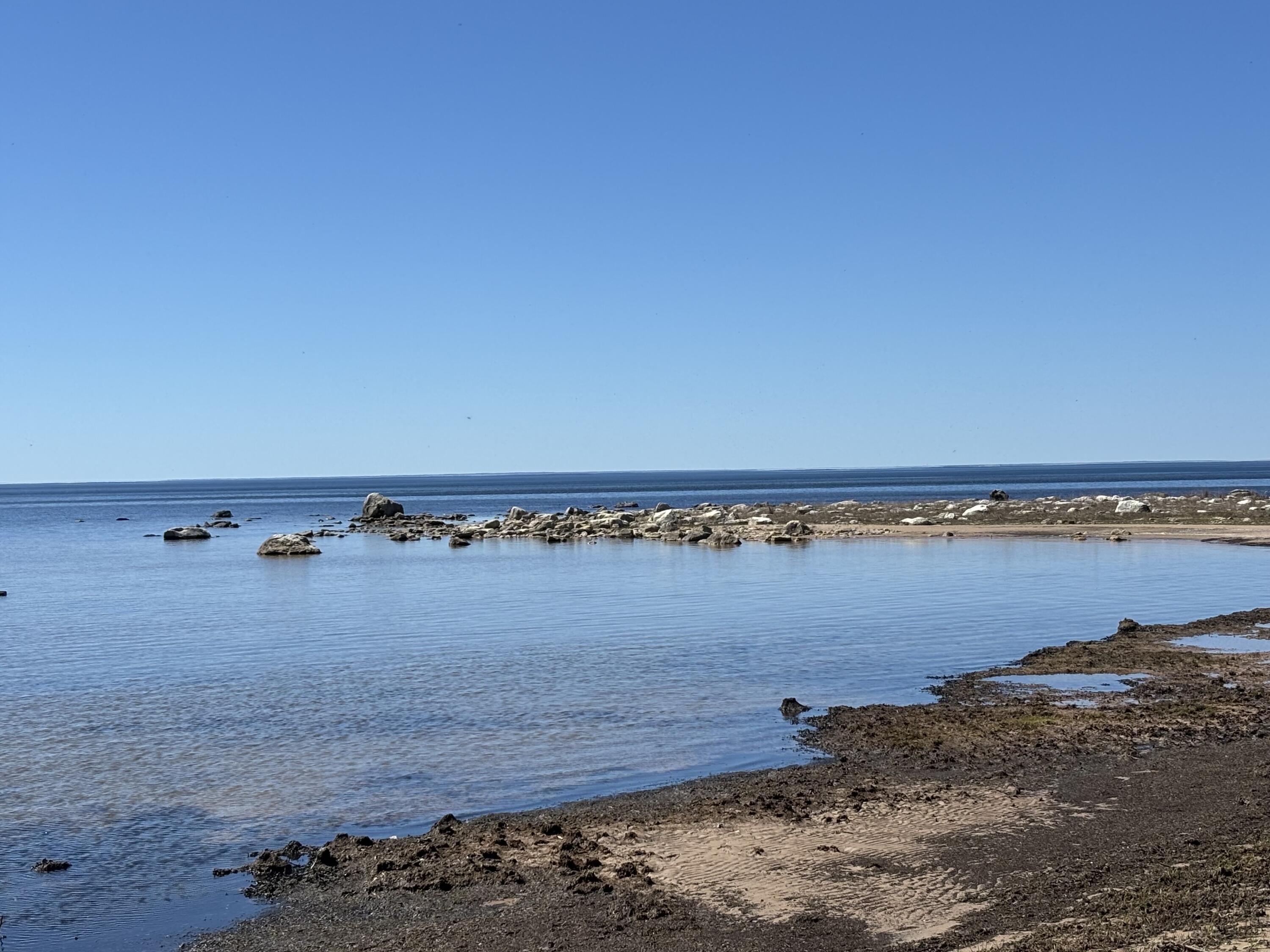 Image 4: IMG_1803