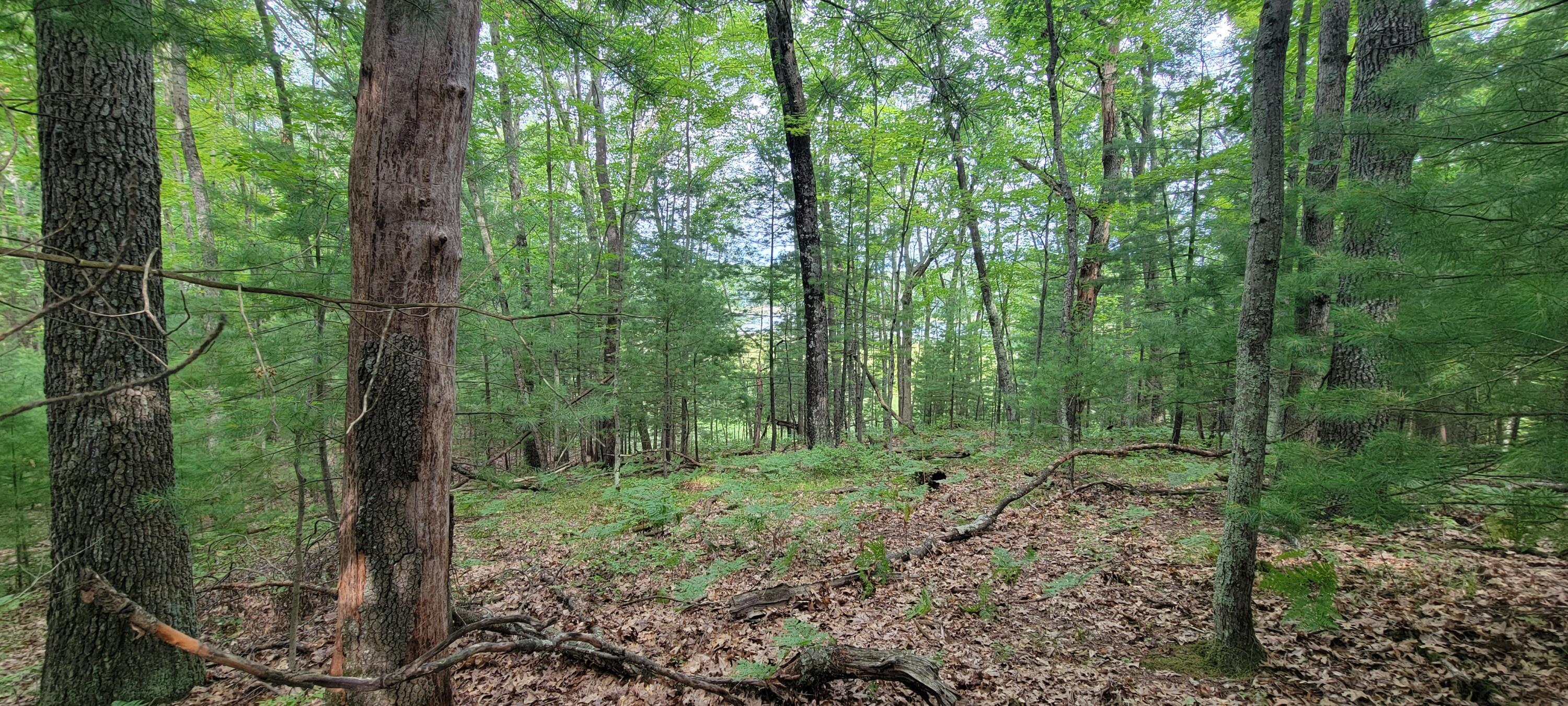 Image 4: 20250729_103055