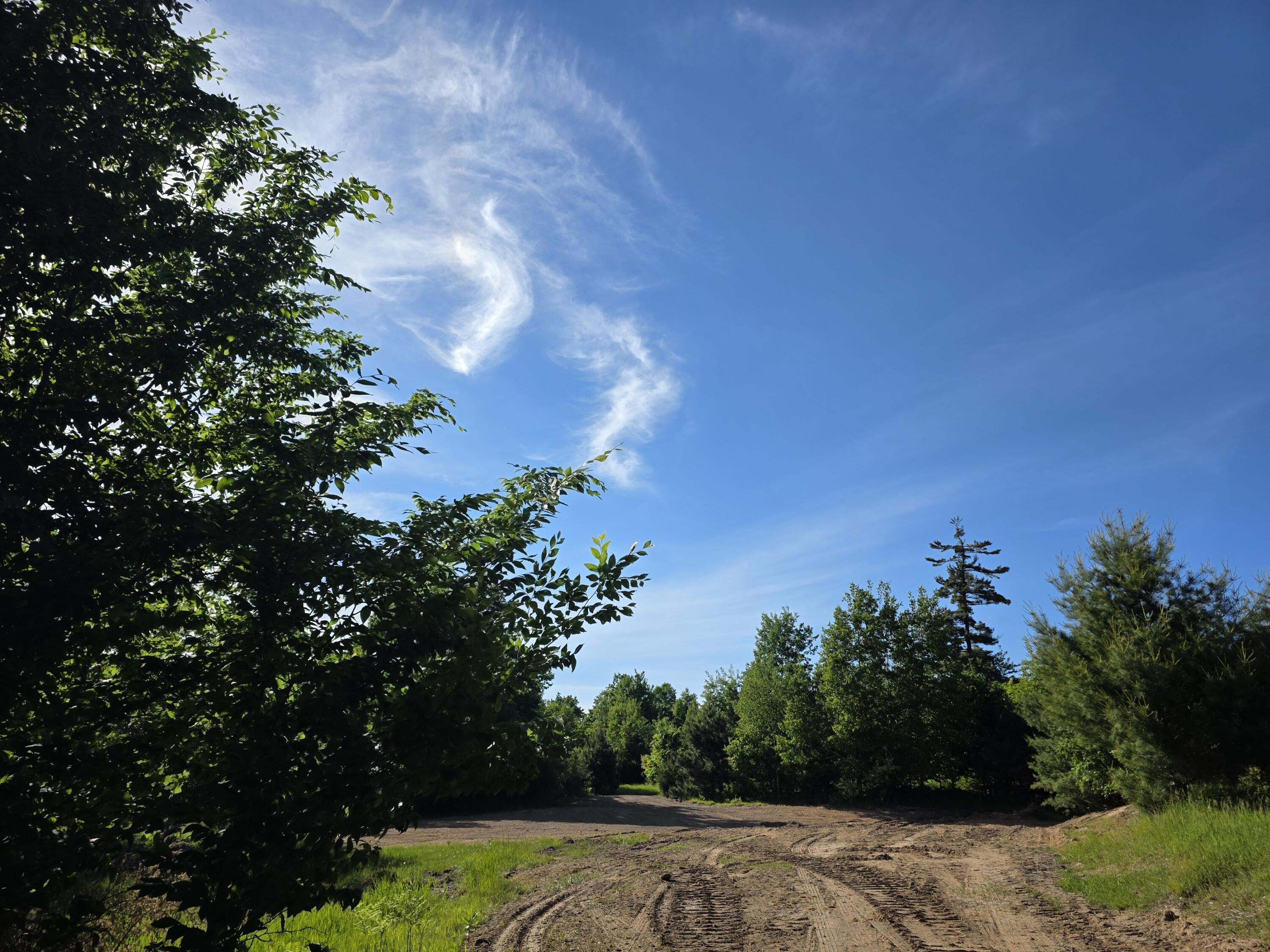 Image 1: 10348 Starlight Ridge