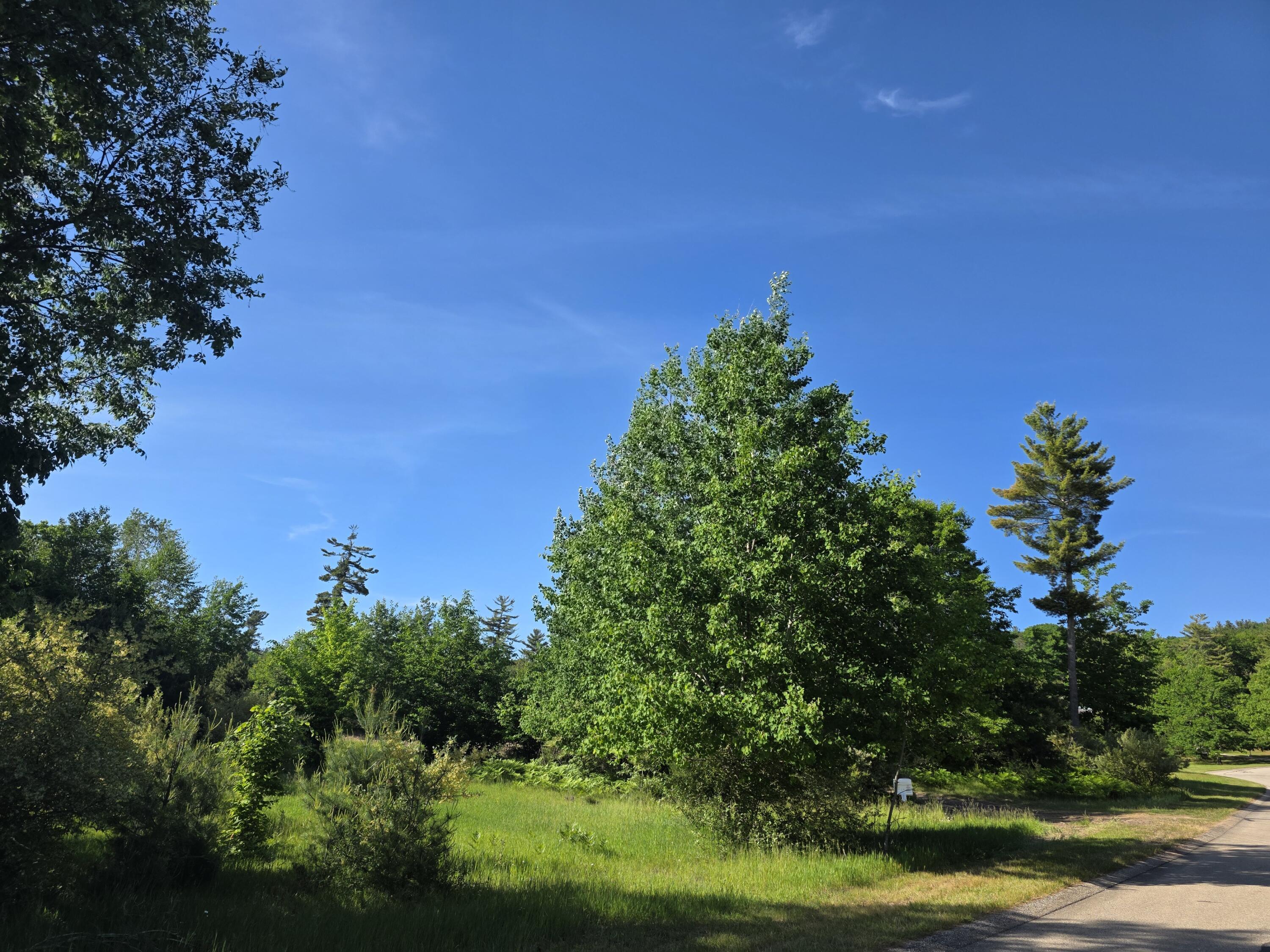 Image 3: 20260607_181429