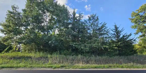 0 V/l Cannes Drive
