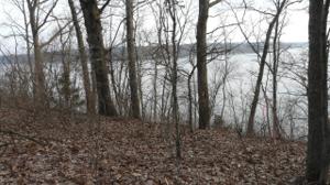 3906 Allegan Dam Road