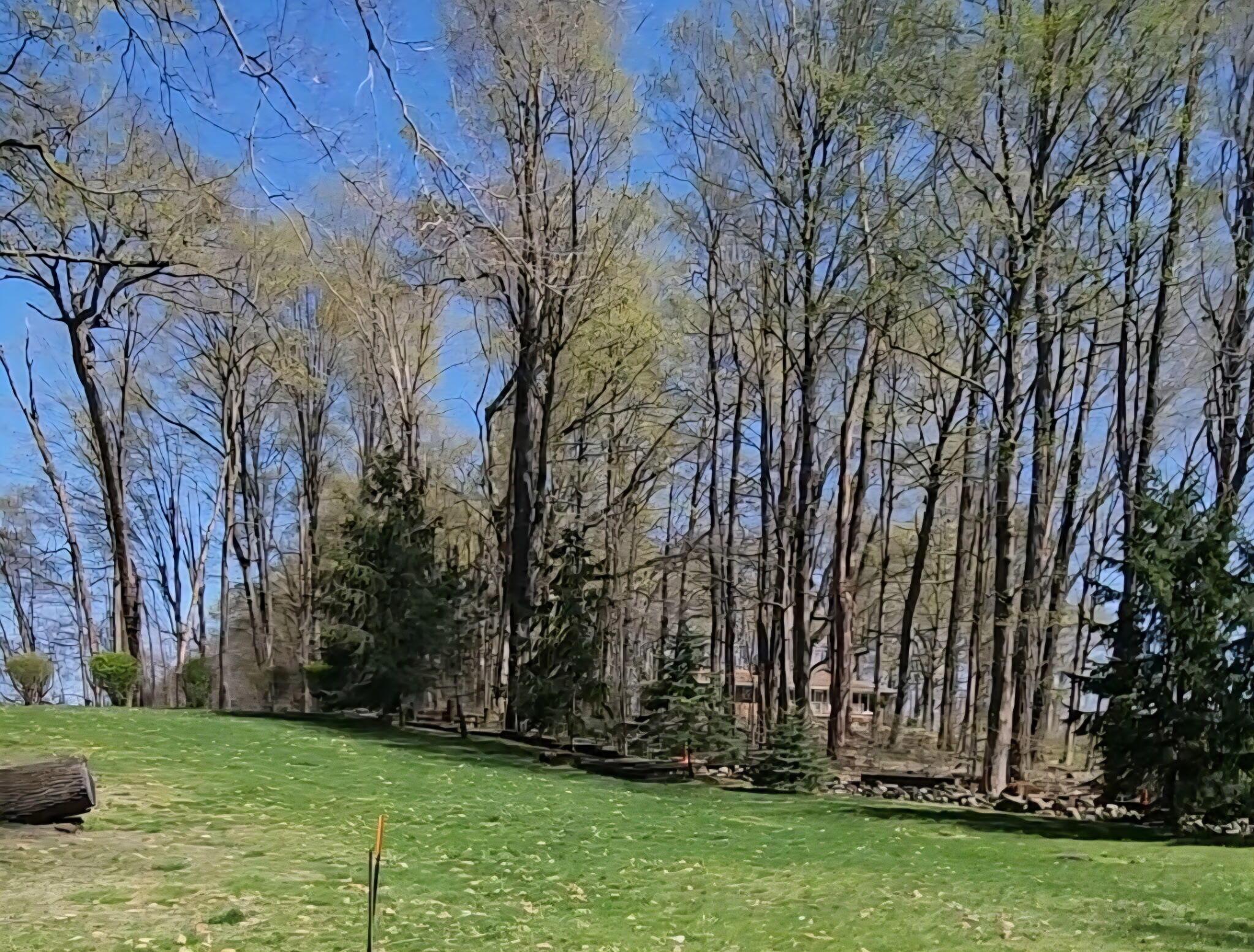Image 3: Keeler Lake Waterfront Lot