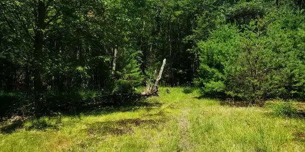 5 Acres Rush Street