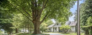 539 Campbell Road