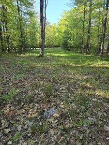 Lot 5 & 14 N Ridge Road