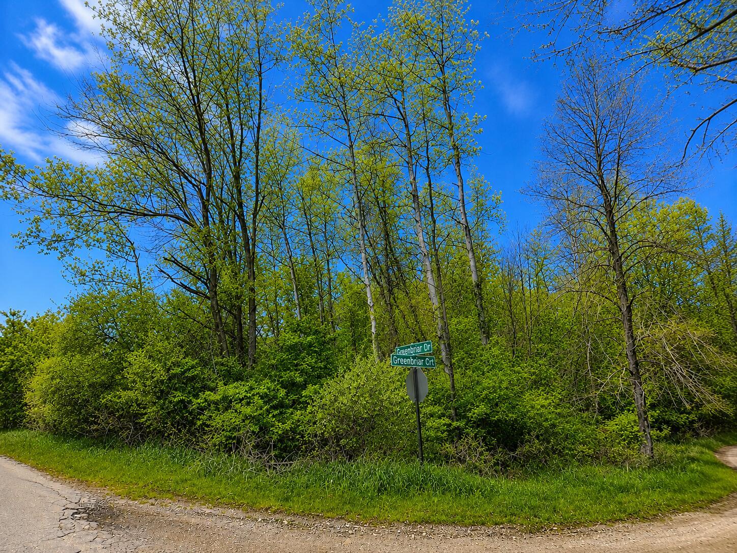 Image 4: 405208aa-bb97-40b3-8d83-5ac2be181ff8