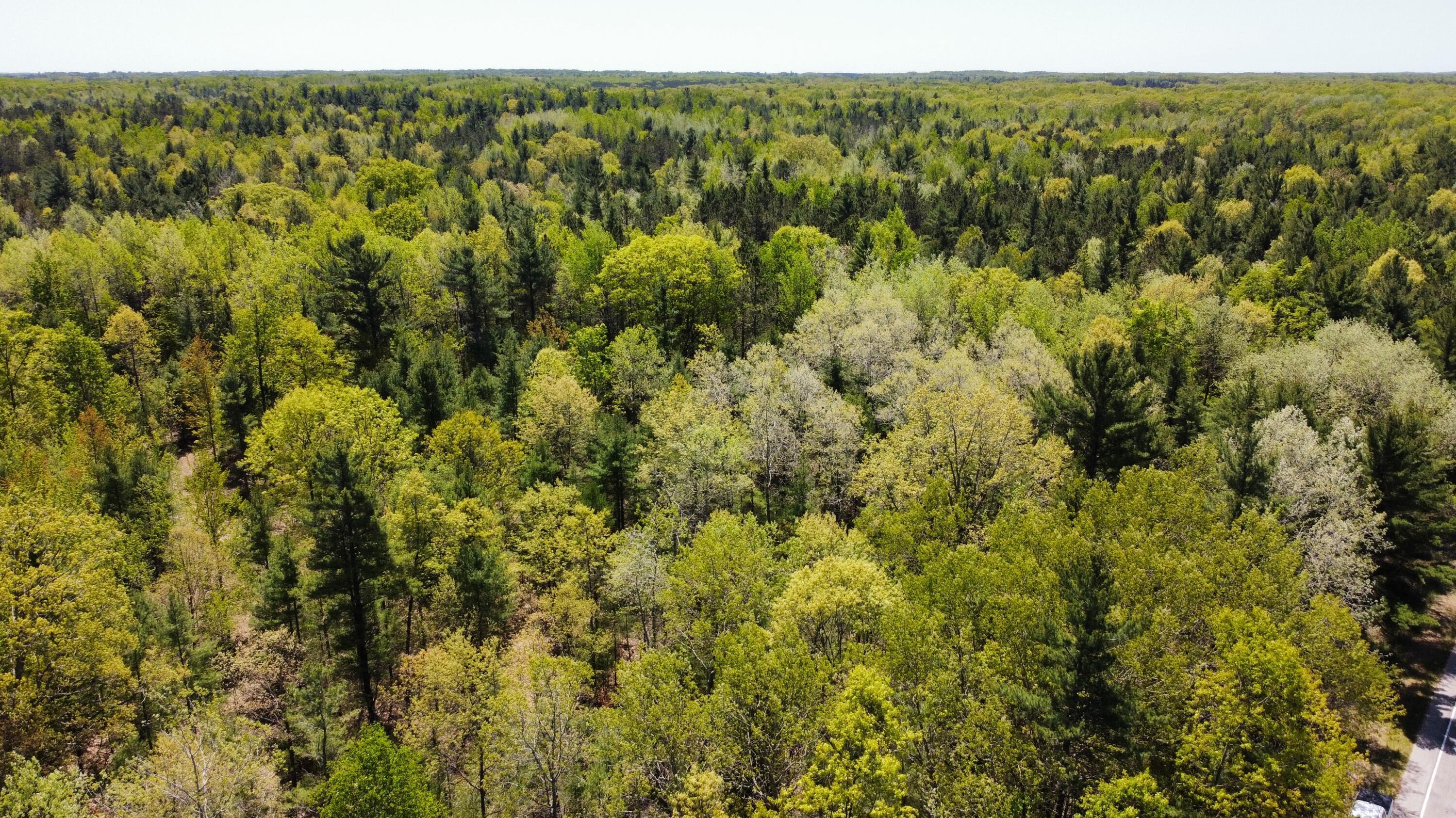 Image 3: dji_fly_20230526_131706_140_168512182336