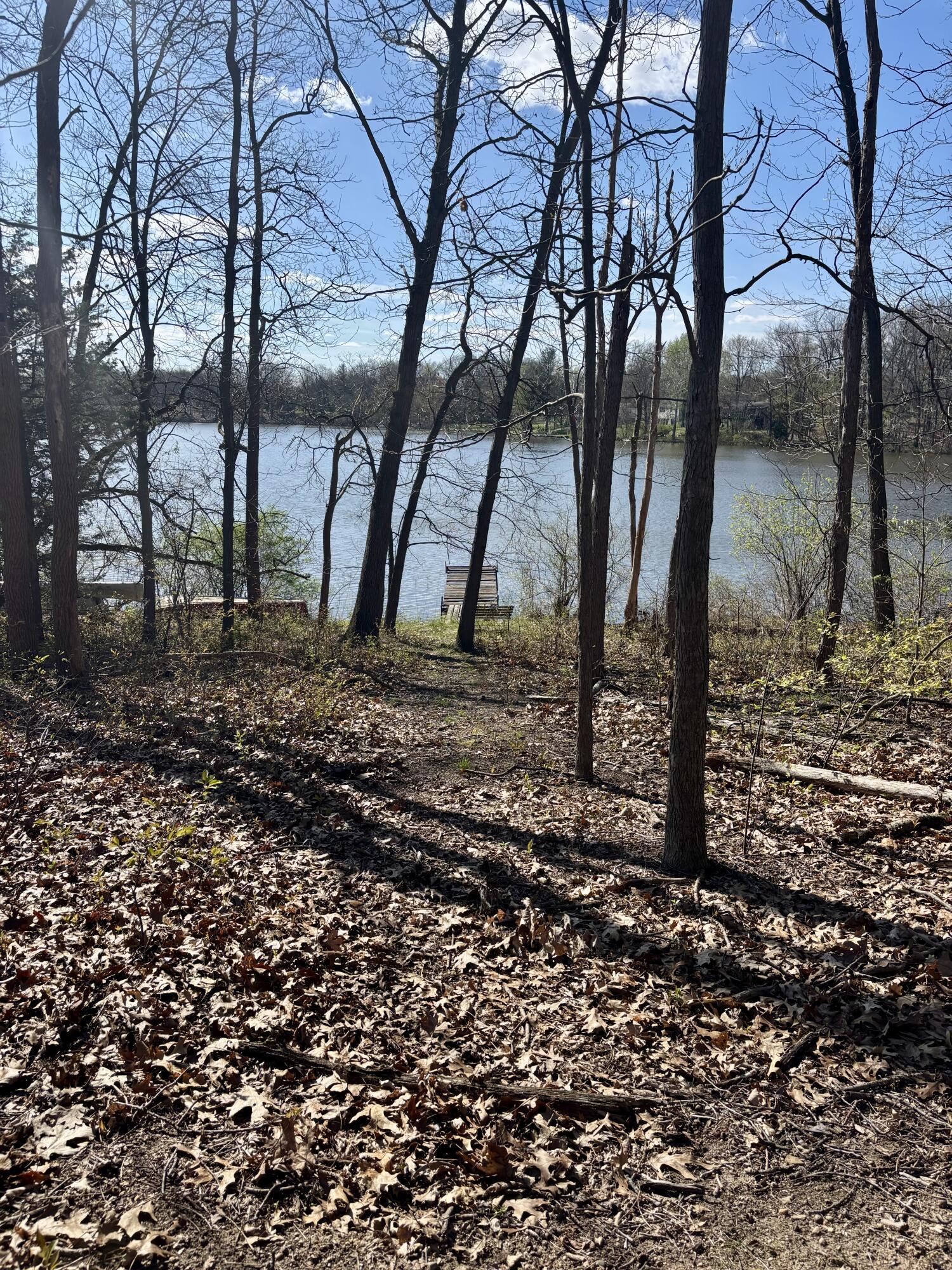 Image 3: IMG_0494