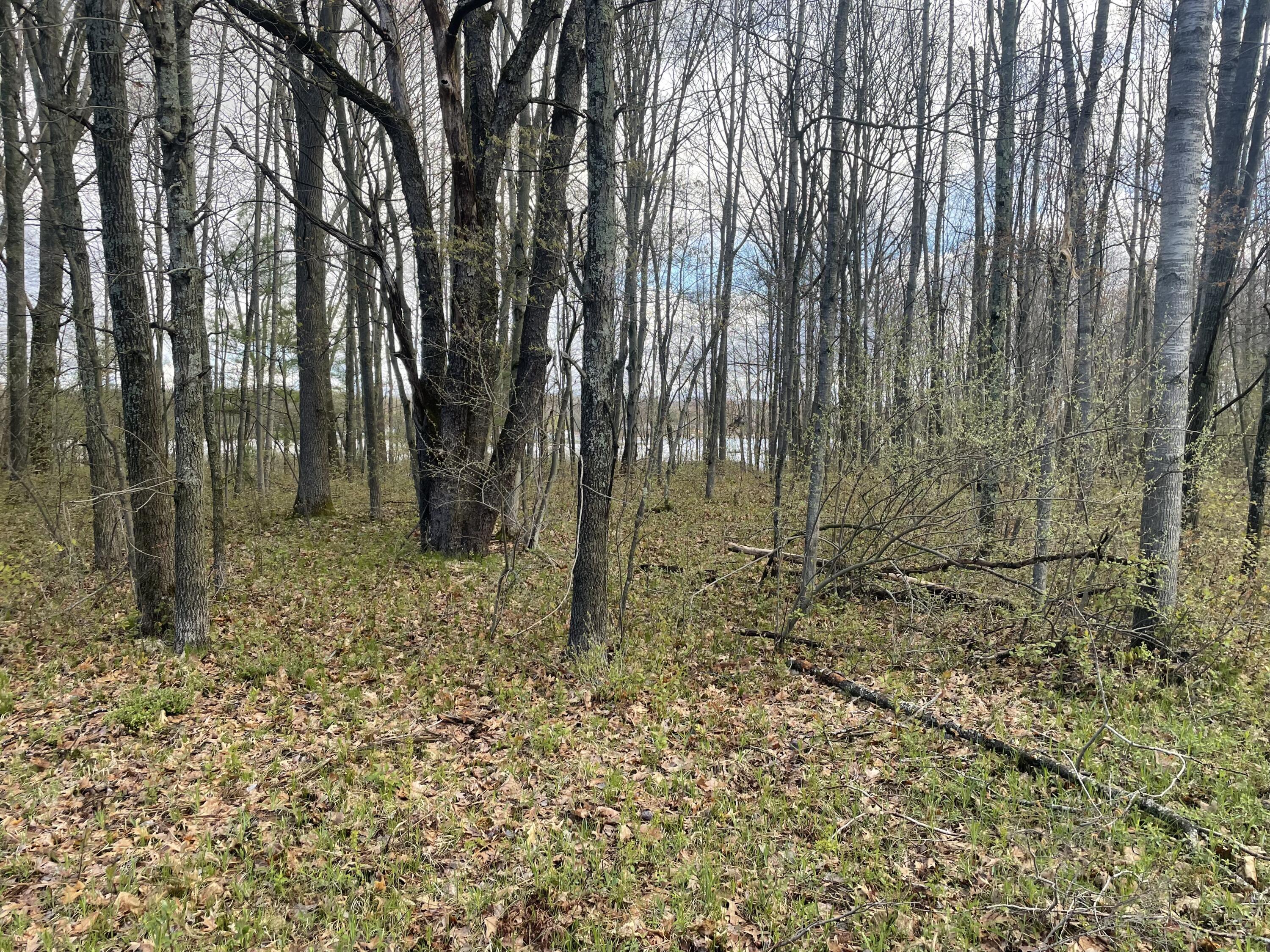 Image 2: IMG_3815