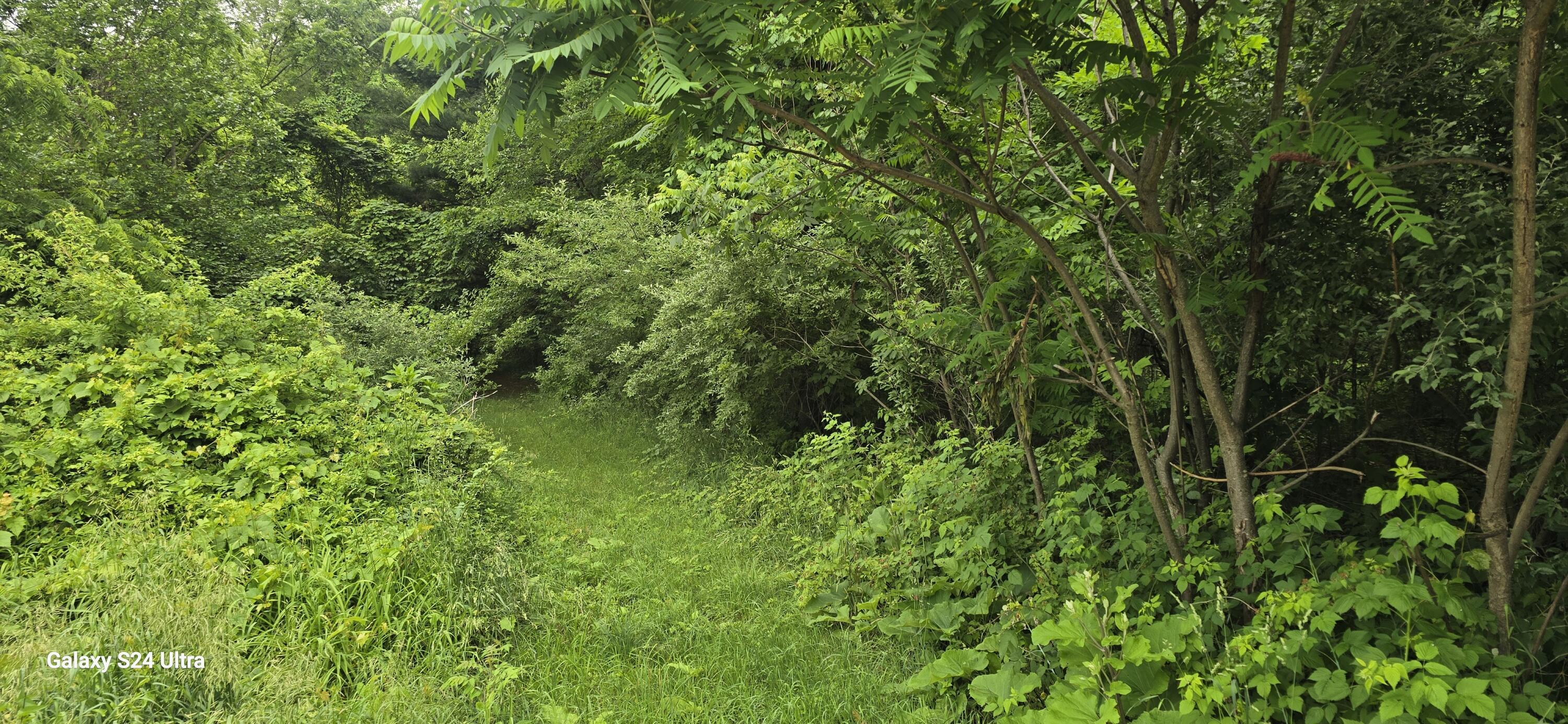 Image 2: 20260617_102105