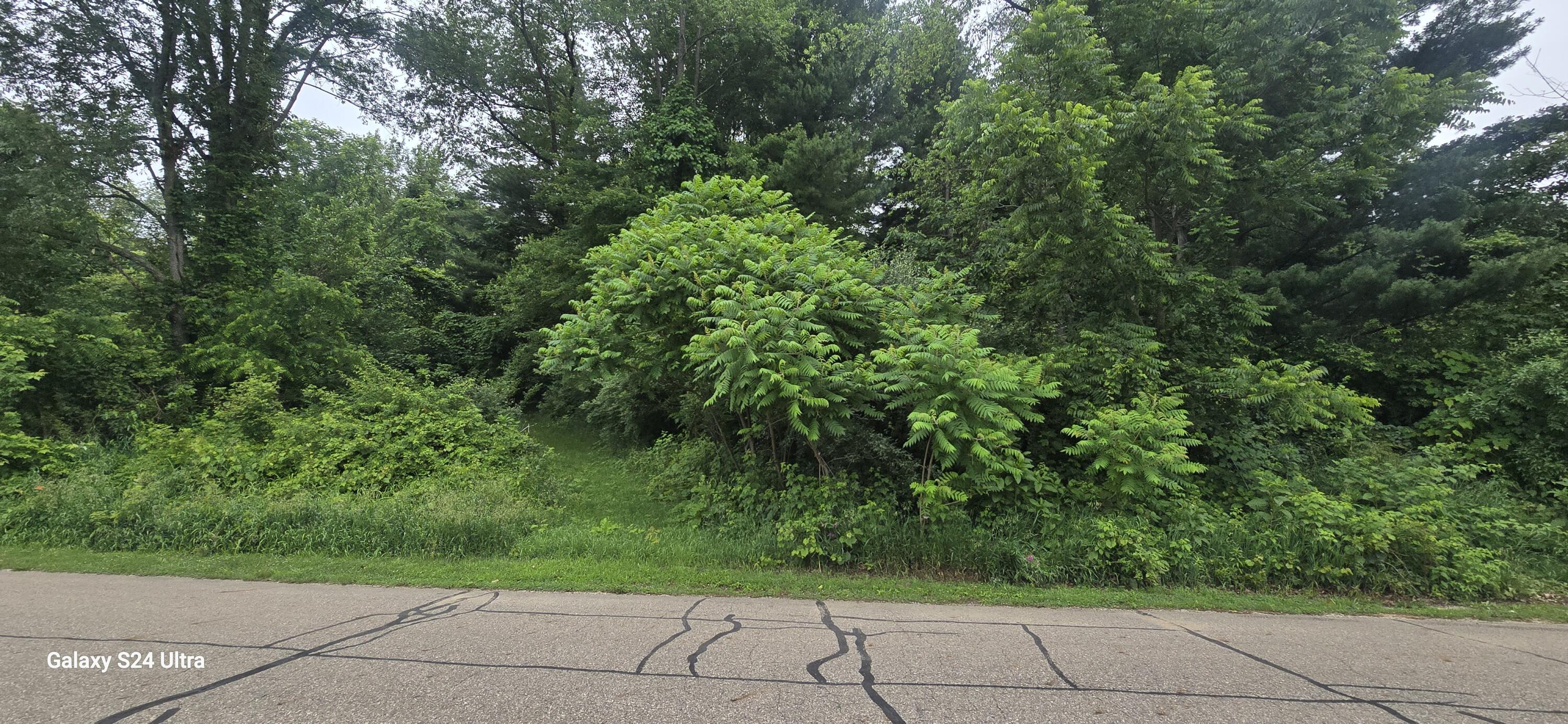 Image 4: 20260617_102119