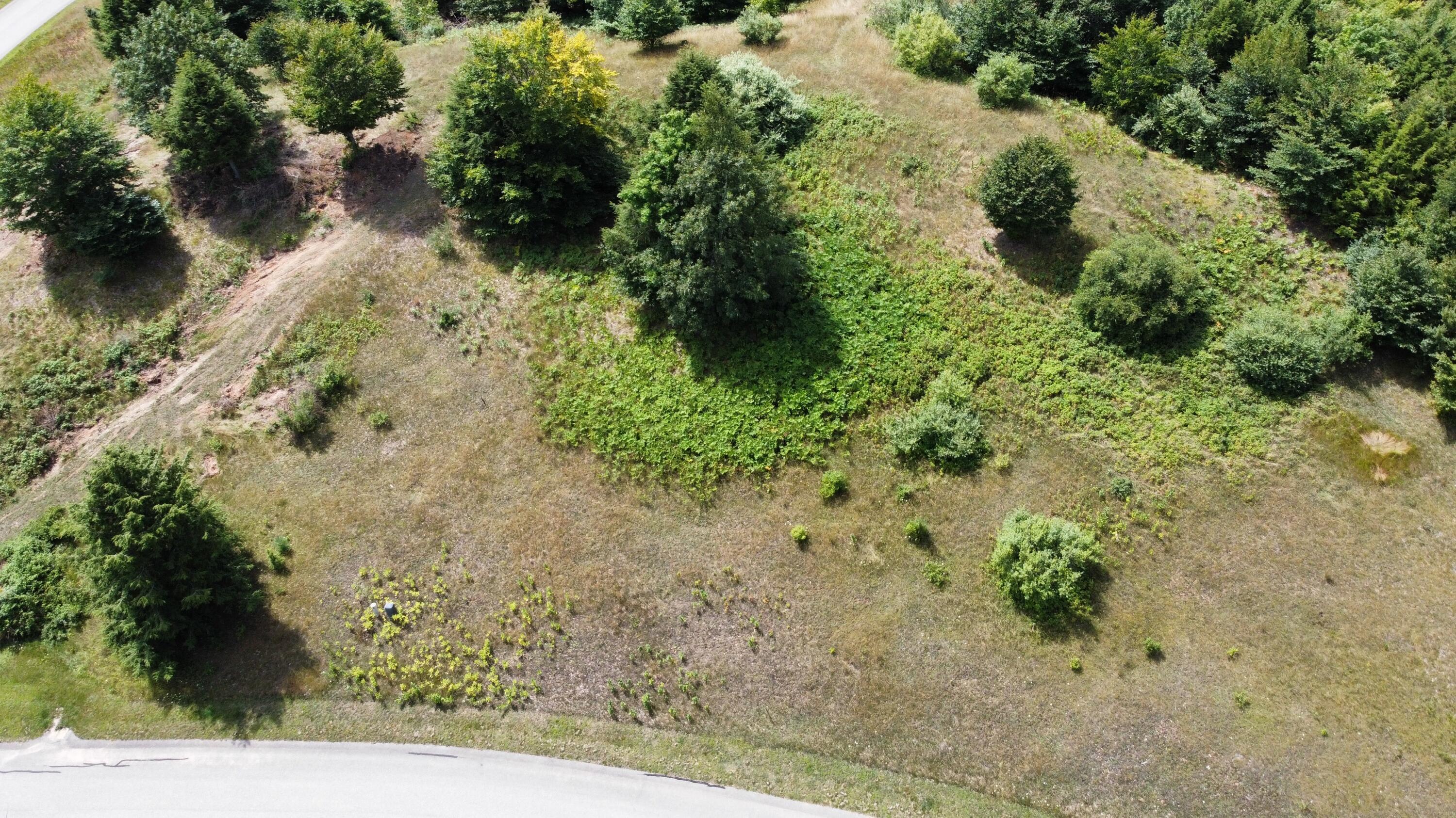 Image 2: dji_fly_20240817_142514_326_172400158324