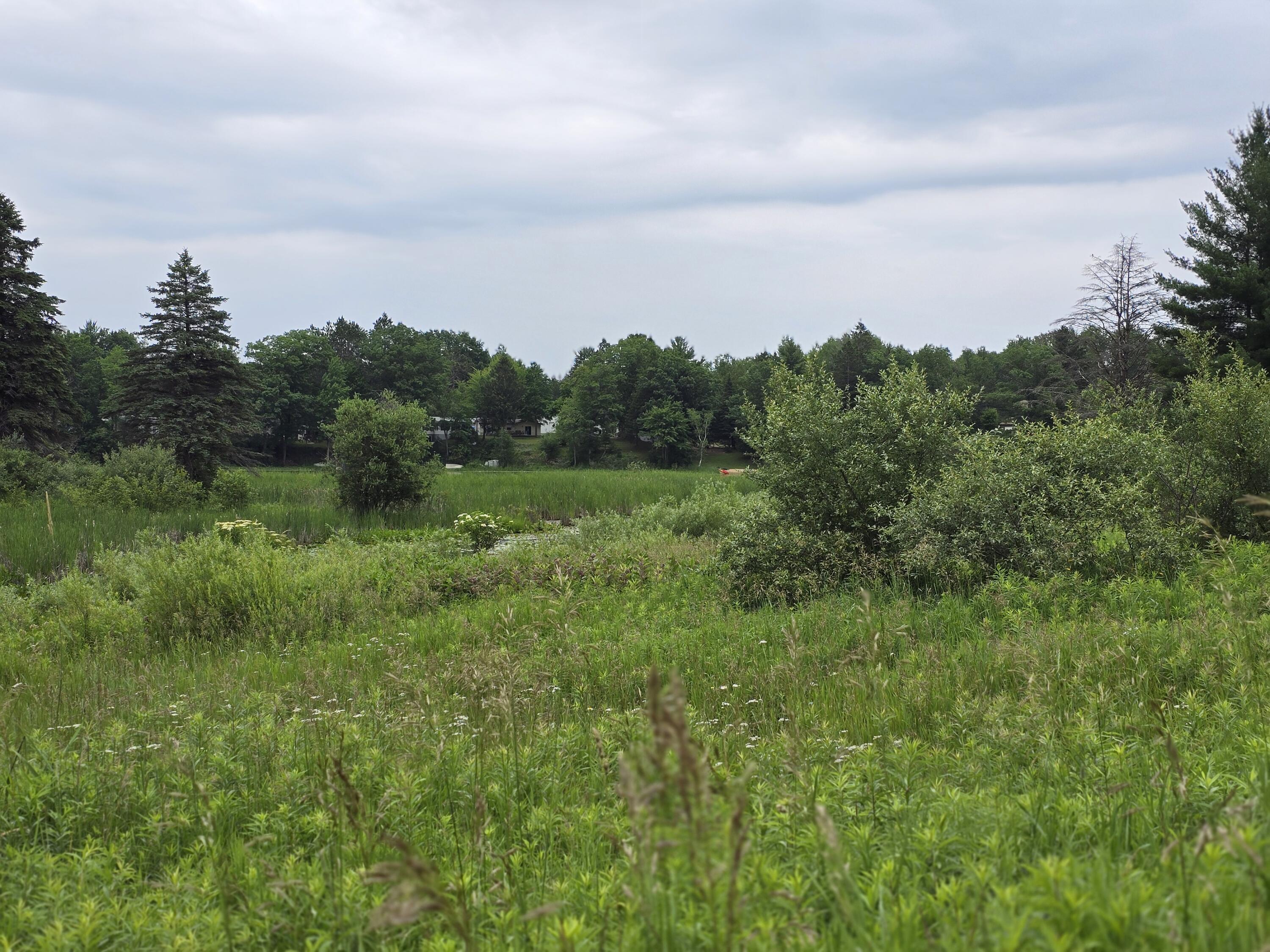 Image 4: 20240628_145455
