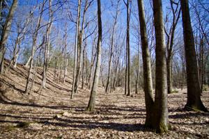 0 Terry Trails Road