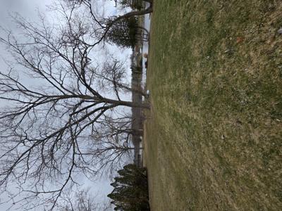 641 Dunleavy Drive
