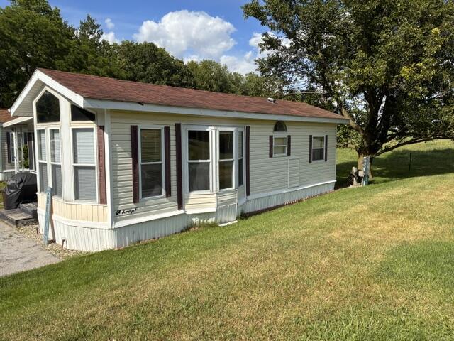 Image 4: IMG_0768