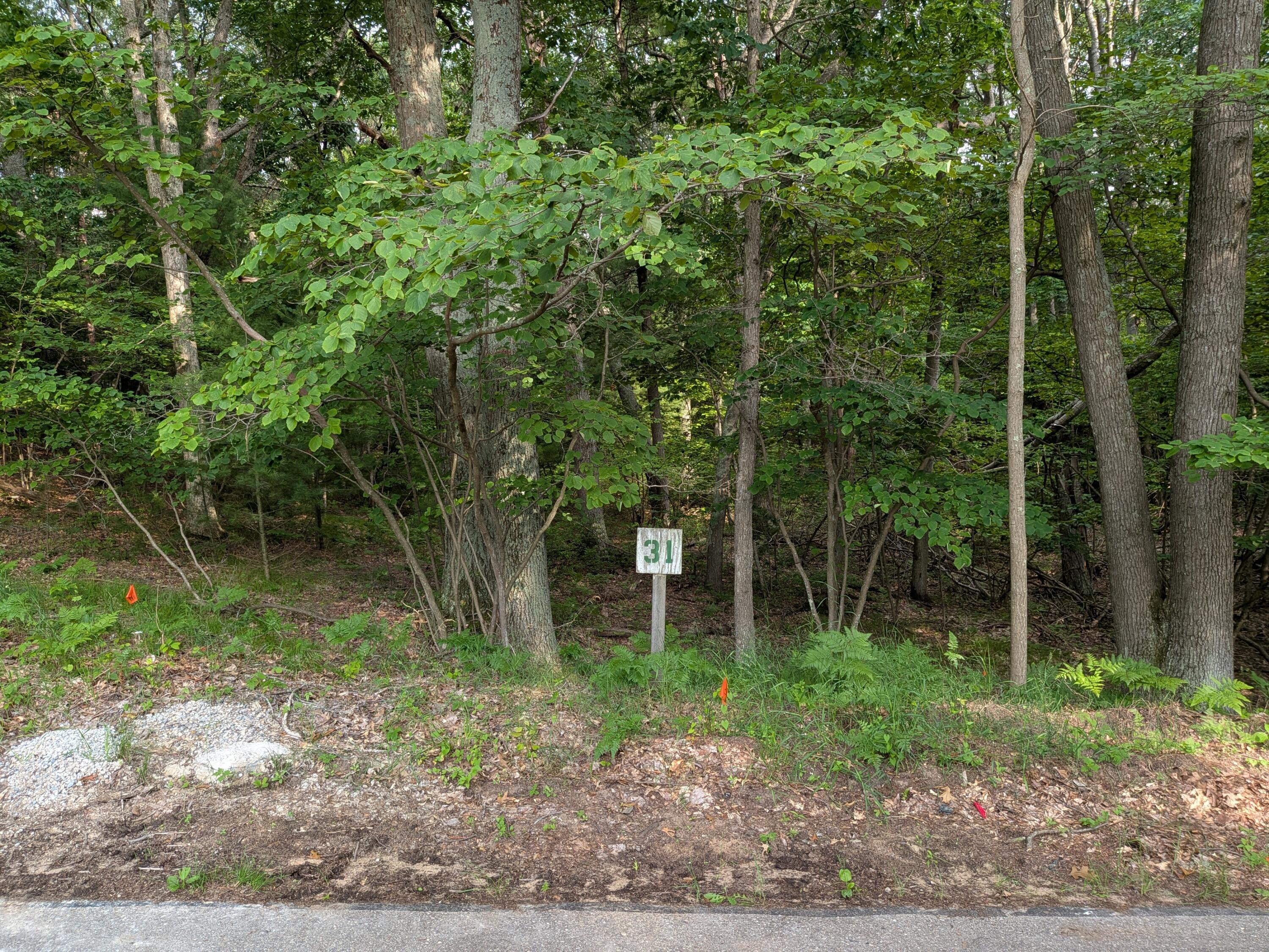 Image 1: PXL_20260705_215200806