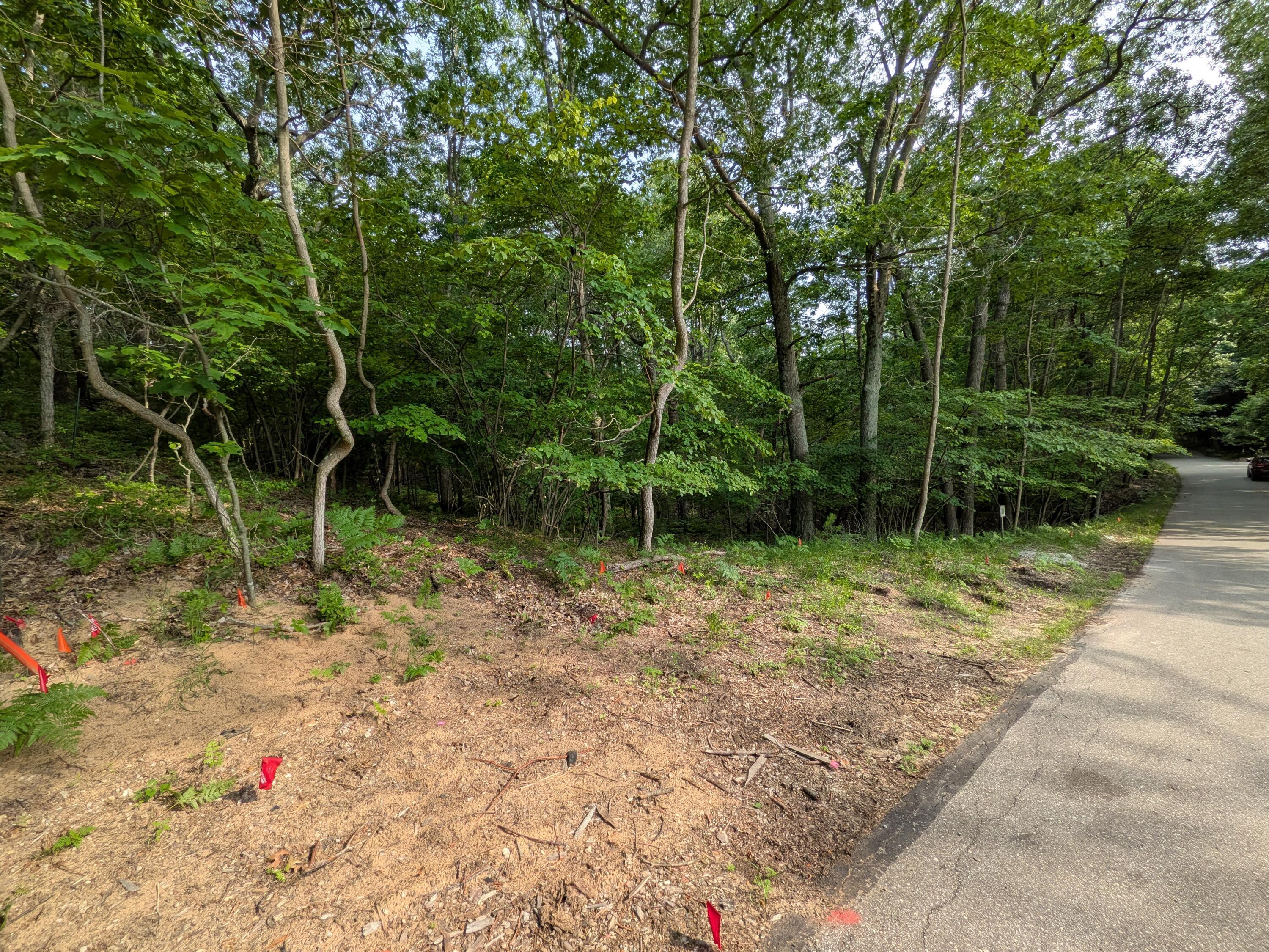 Image 3: PXL_20260705_215549512