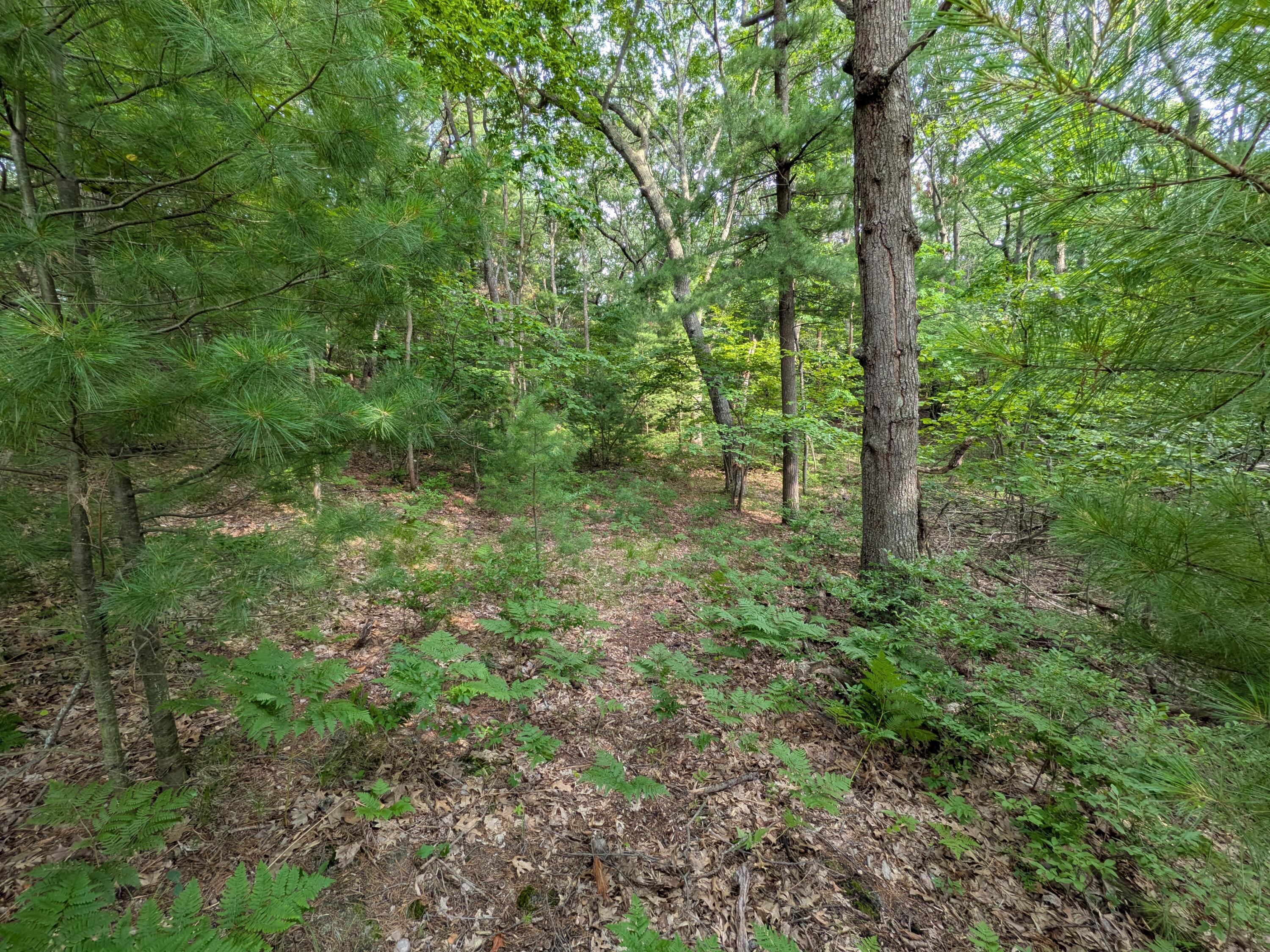 Image 4: PXL_20260705_215618392