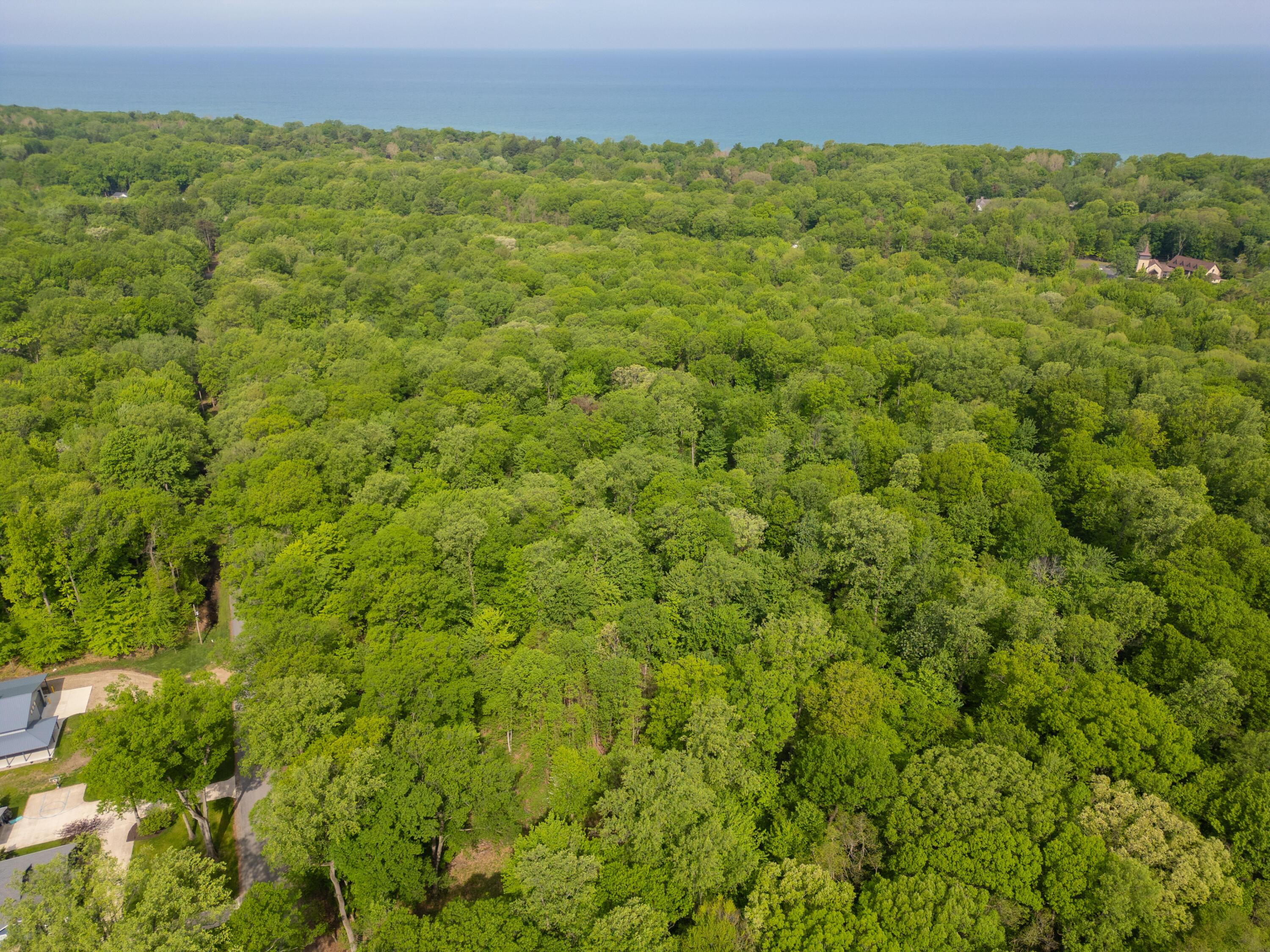 Image 3: Aerial