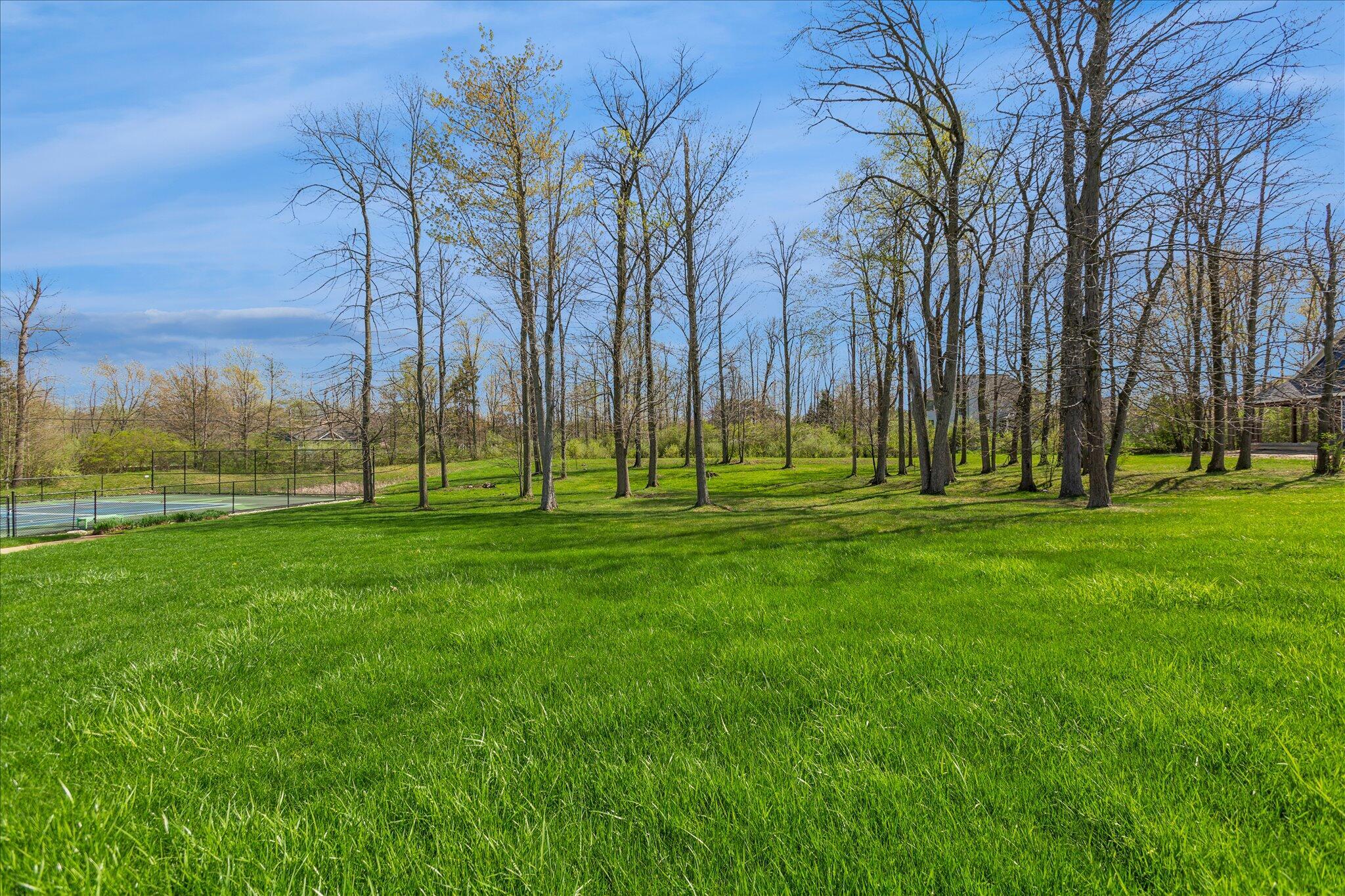 Image 2: Lot #34