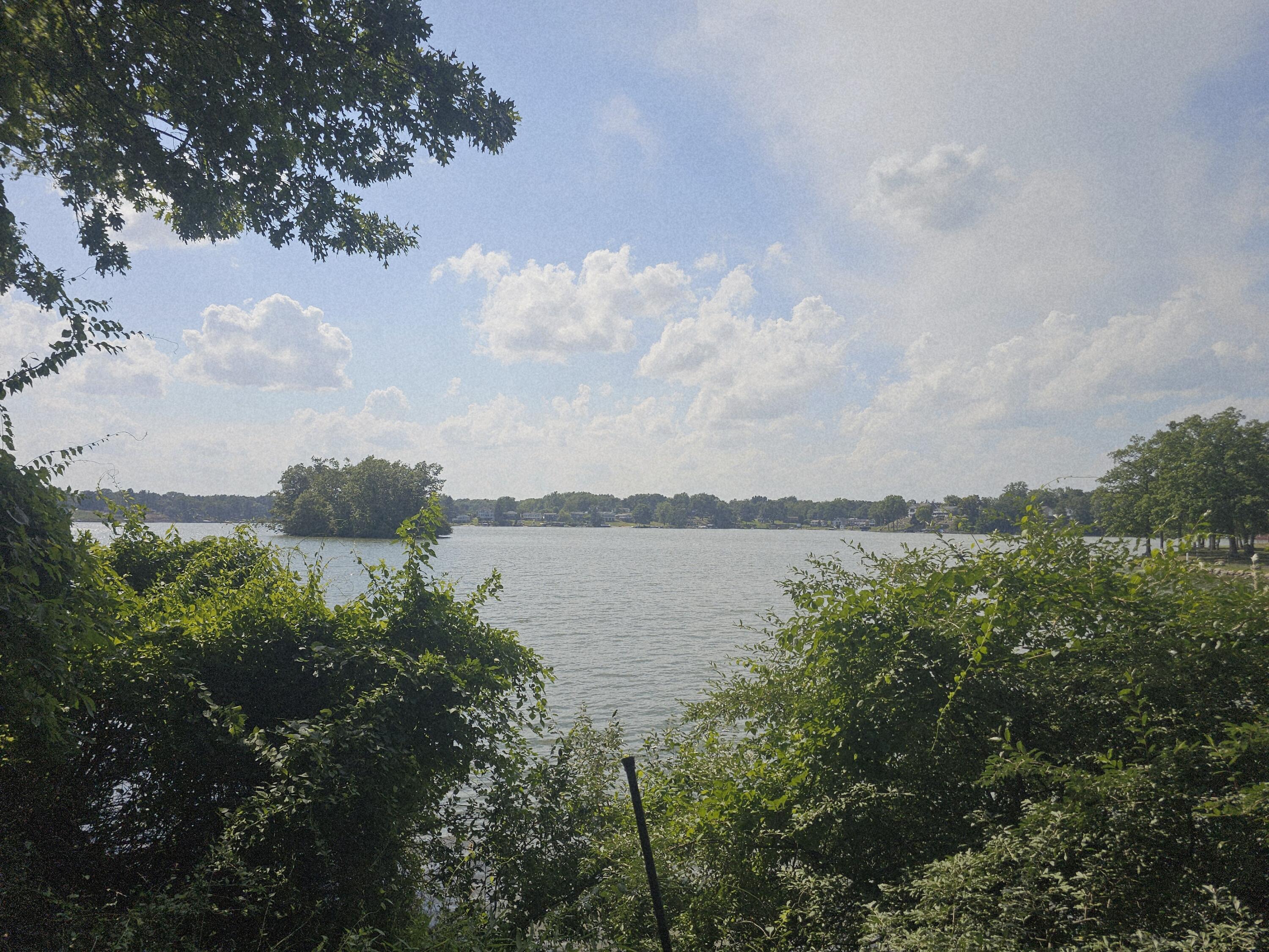 Image 4: 1000025963