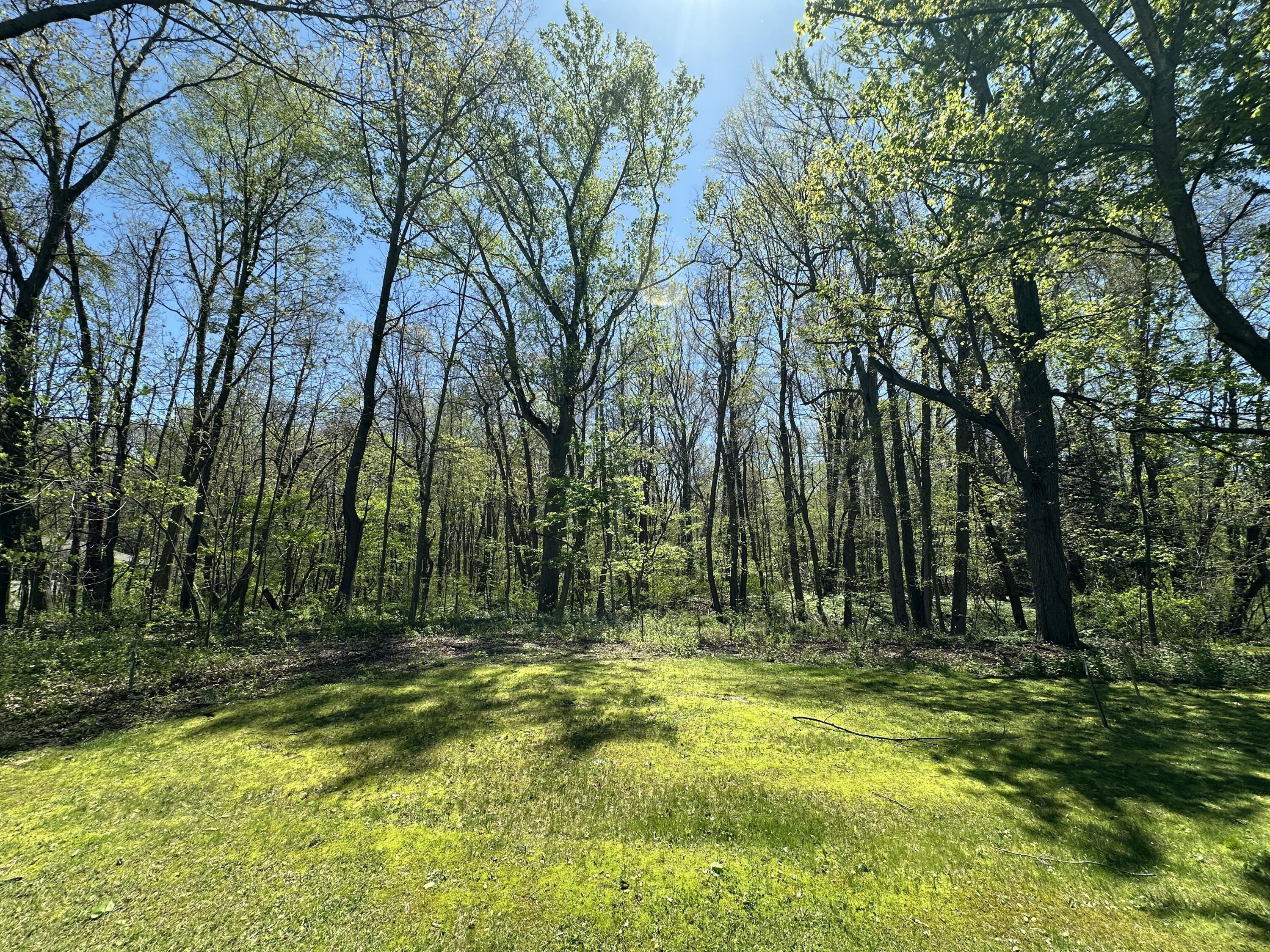 Image 1: IMG_1831