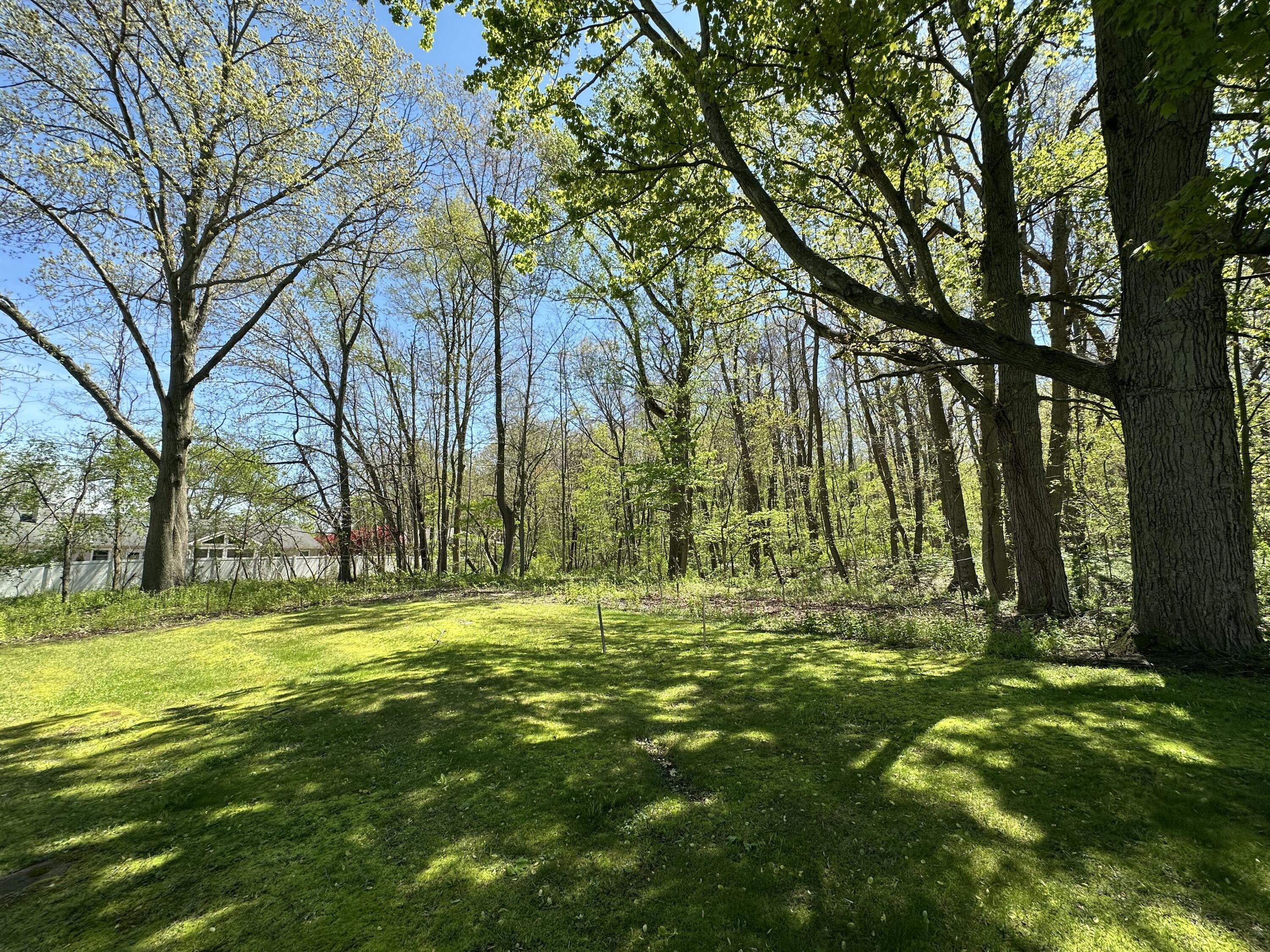 Image 3: IMG_1833