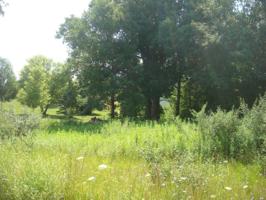 14189 View Drive