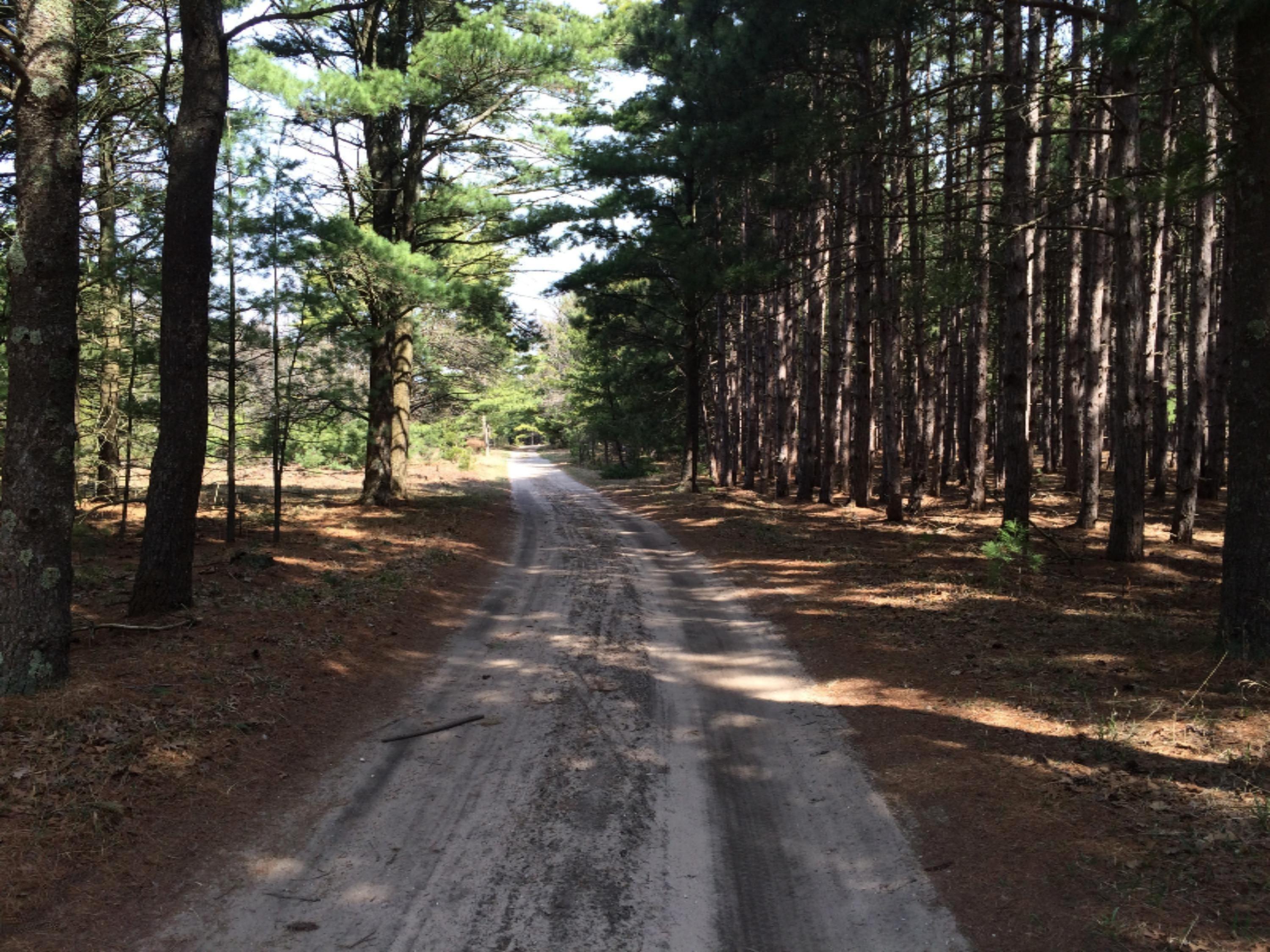 Image 4: Drive entering property