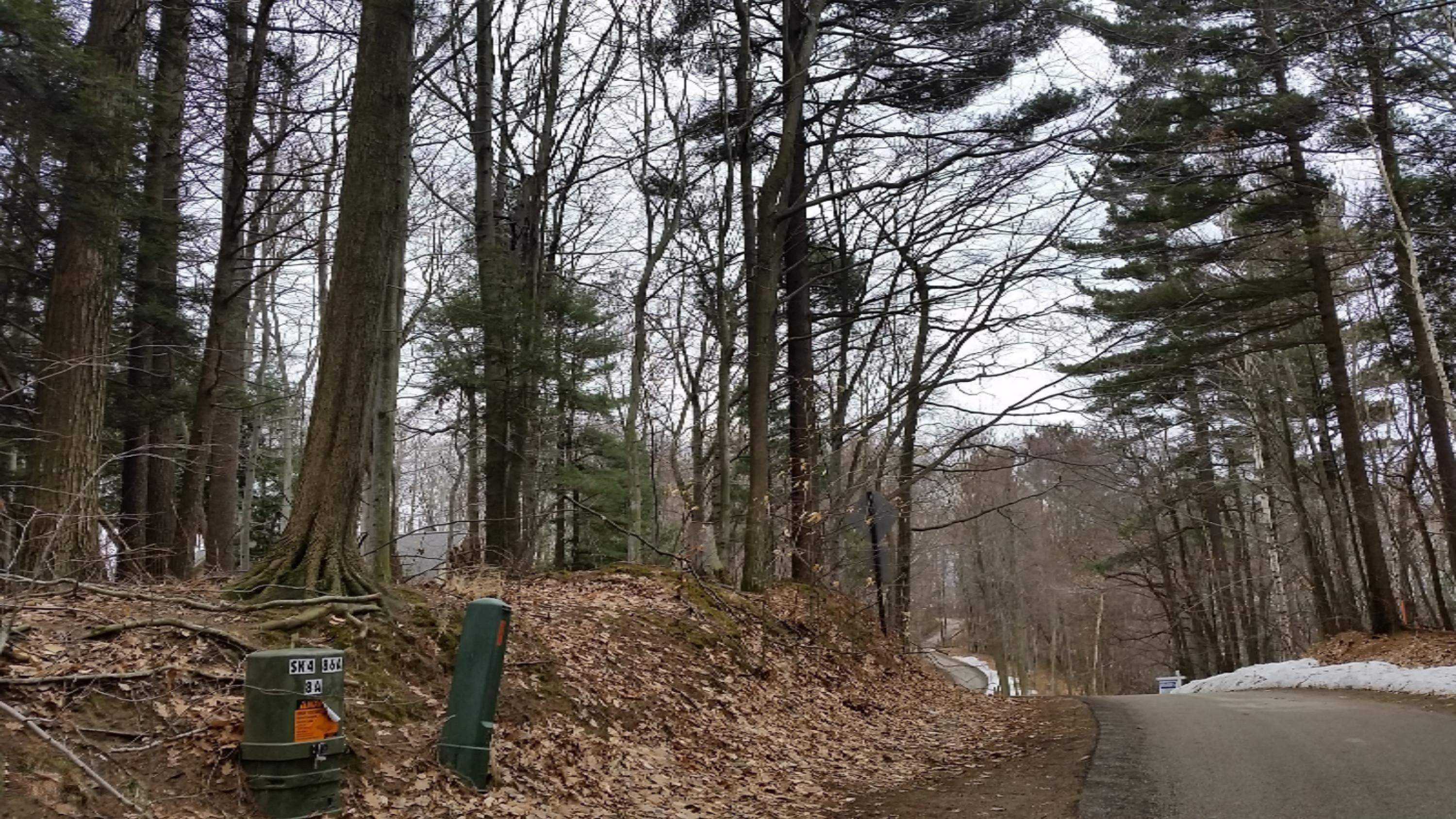 Image 4: 2015-03-26 11.02.44.jpg