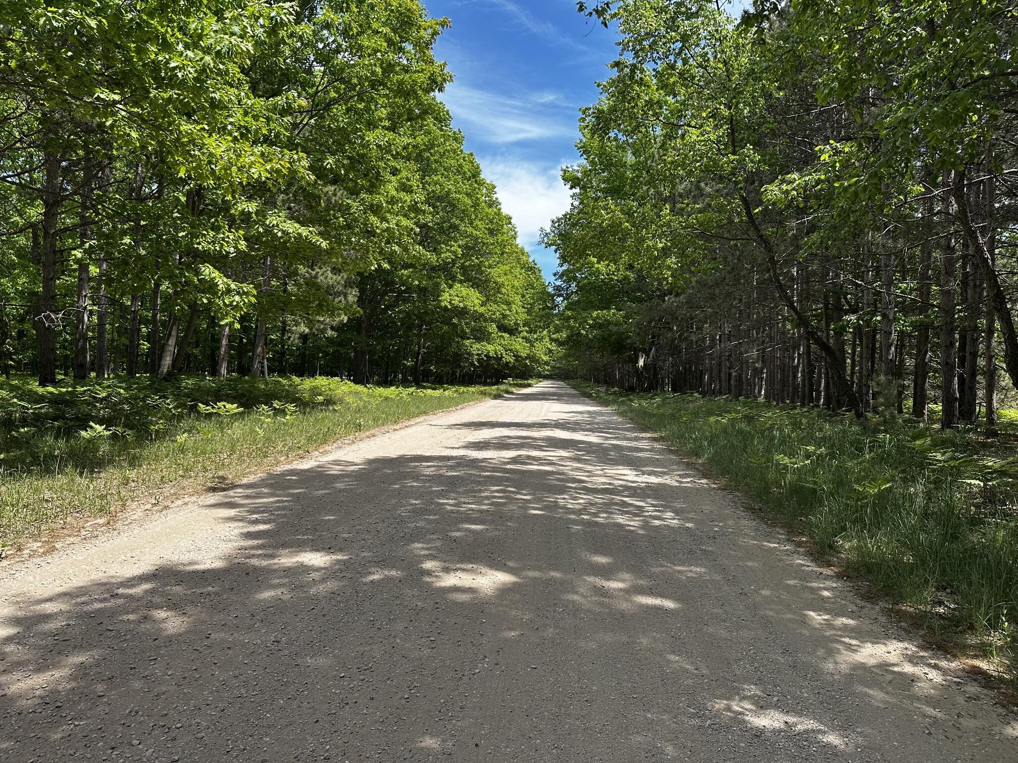 Image 3: 10 acres - Jepson Road