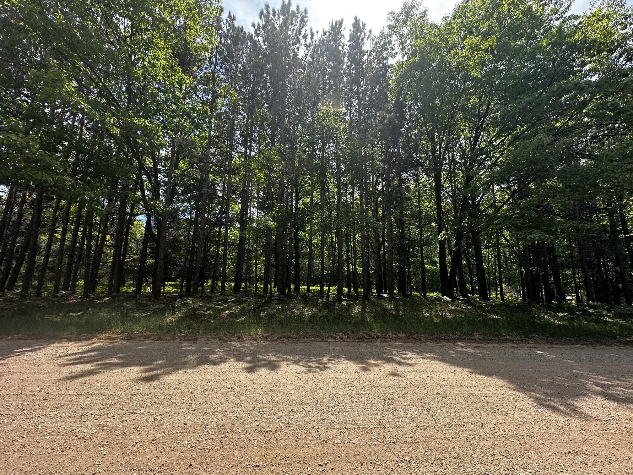 Image 4: 10 acres - Jepson Road