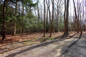 0 Hemlock Drive