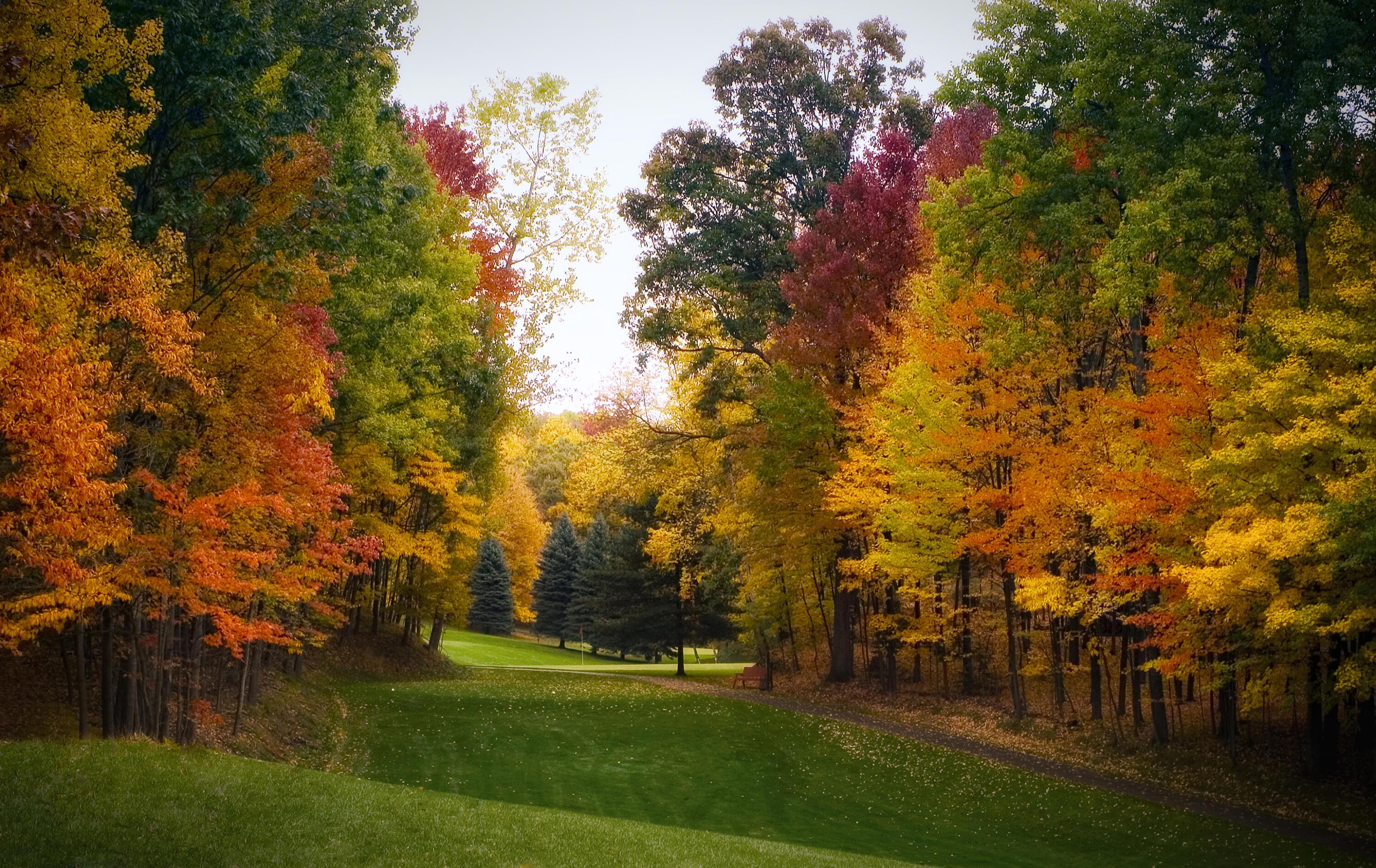 Image 4: CL fall golf photo