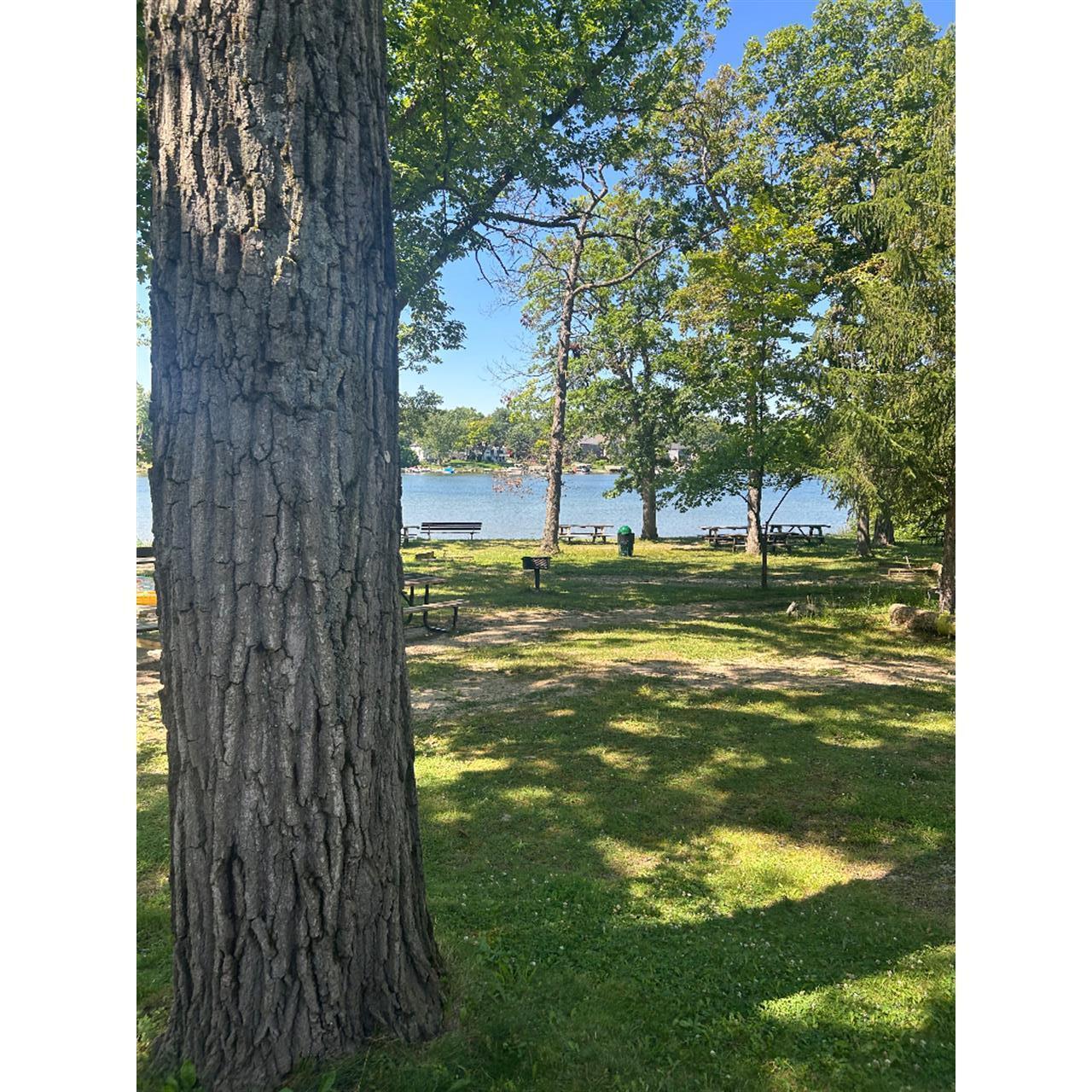 Image 3: 02