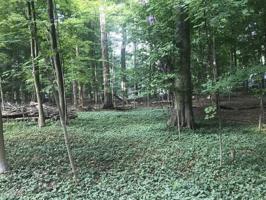 Lots 271 & 272 Hickory Drive