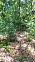 Lots 18&19 Comanche Trail
