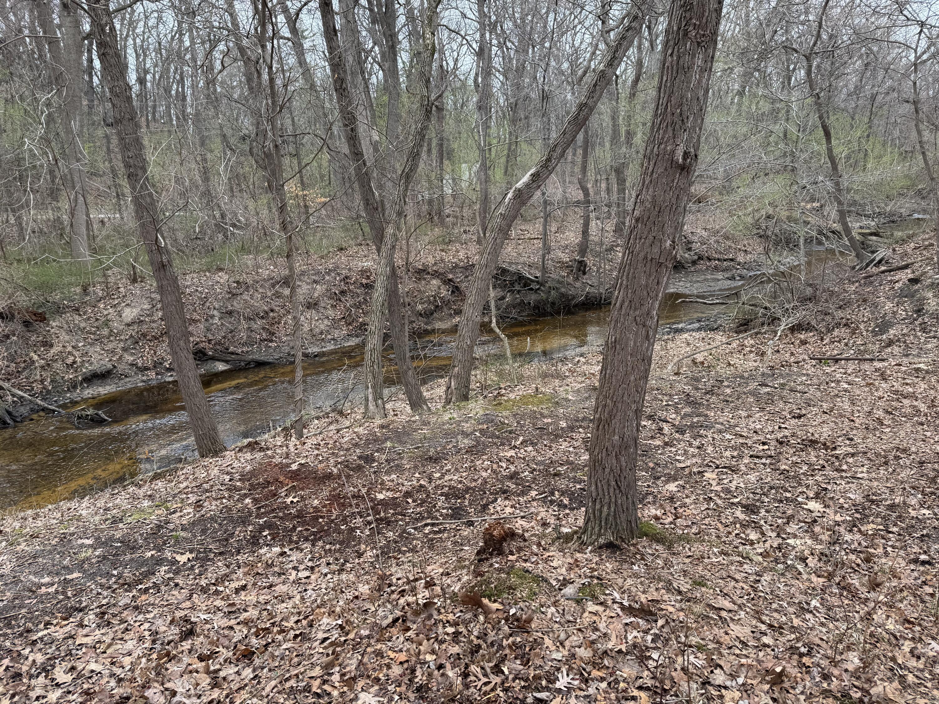 Image 4: Anest long creek view