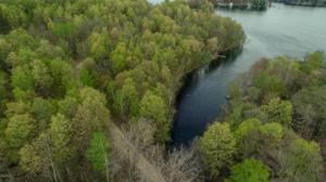 Lot 118 Negaunee Lake Drive