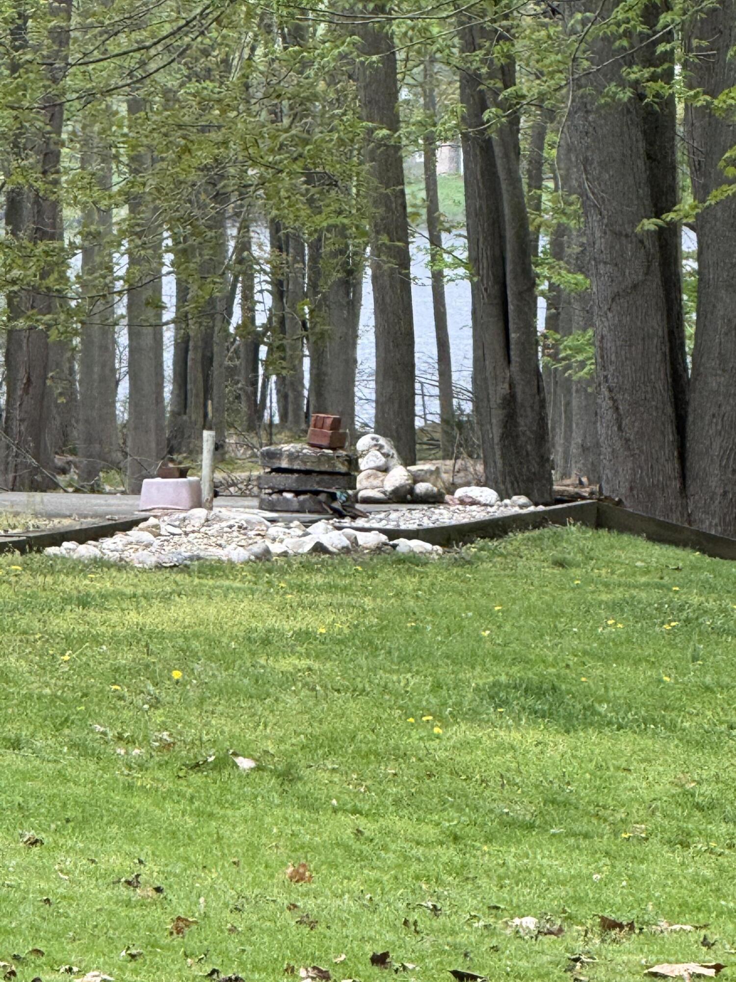 Image 2: IMG_4222