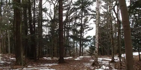 Lot 13 Sable Point Drive