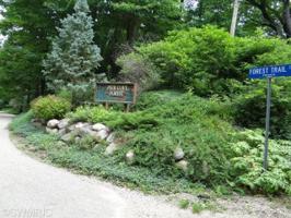Forest Trail Circle