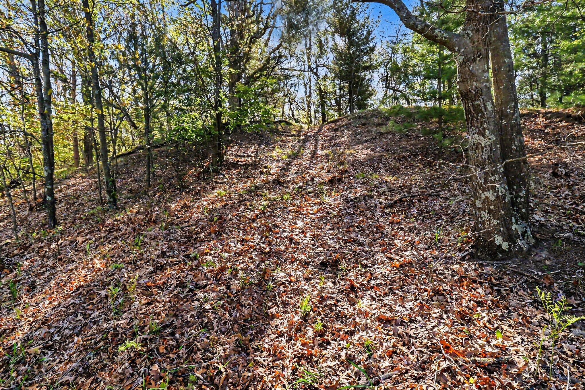 Image 3: file_5940