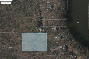 Lot A Forest Trail