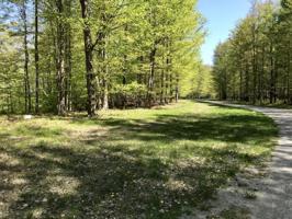 Hamlin Shoals Lane
