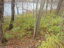 1 S Lake Chapin Road